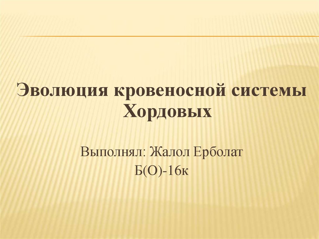 Презентация эволюция кровеносной системы