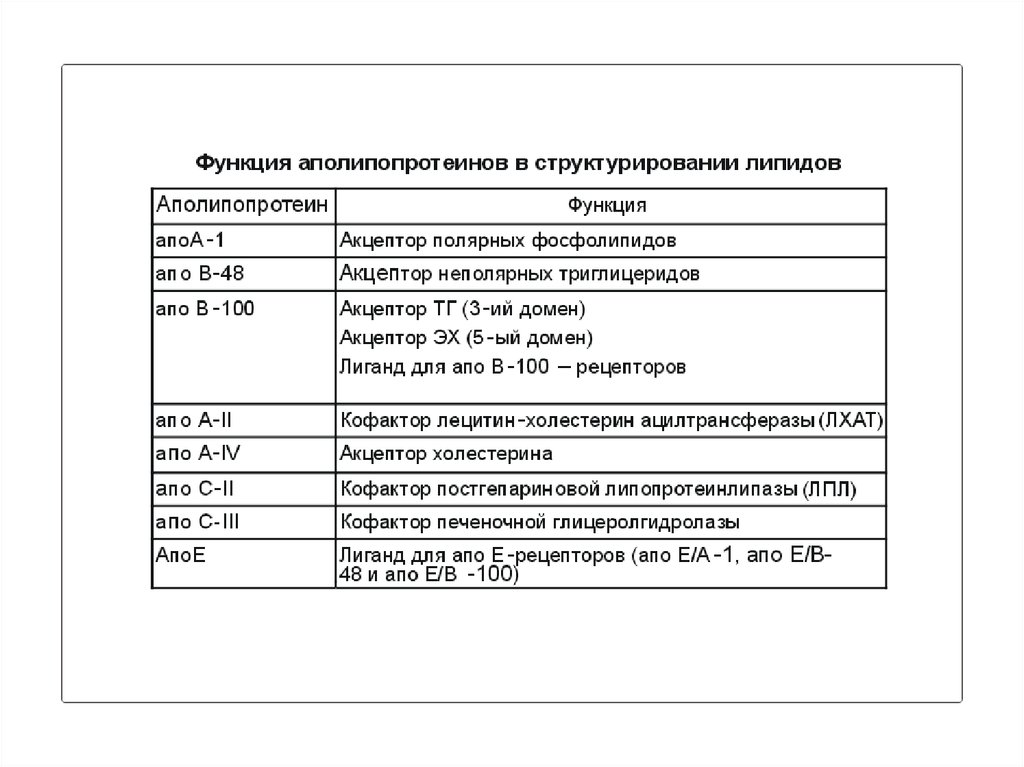 100 функций. Функции аполипопротеинов таблица. Основные аполипопротеины, их функции.. Виды аполипопротеинов. Функции аполипопротеидов.