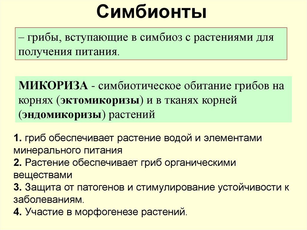 Вступать в симбиоз. Симбионты. Симбионты это в биологии. Симбионты примеры. Симбионты определение.