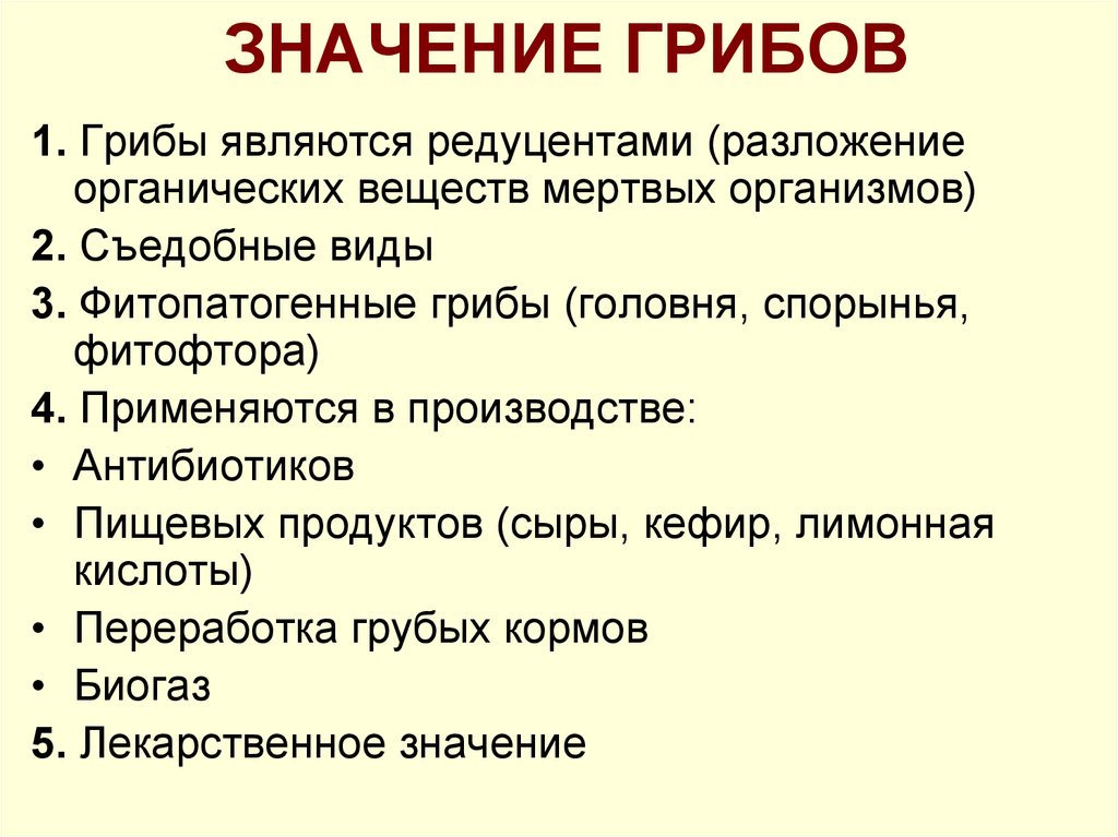 Грибы являются. Значение грибов. Таблица значение грибов. Биологическое значение грибов. Значение грибов 5 класс.