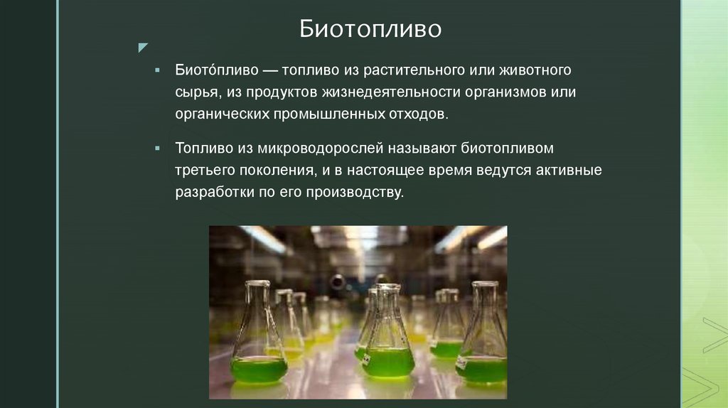 Презентация биотопливо из водорослей