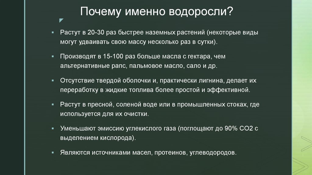 Презентация биотопливо из водорослей