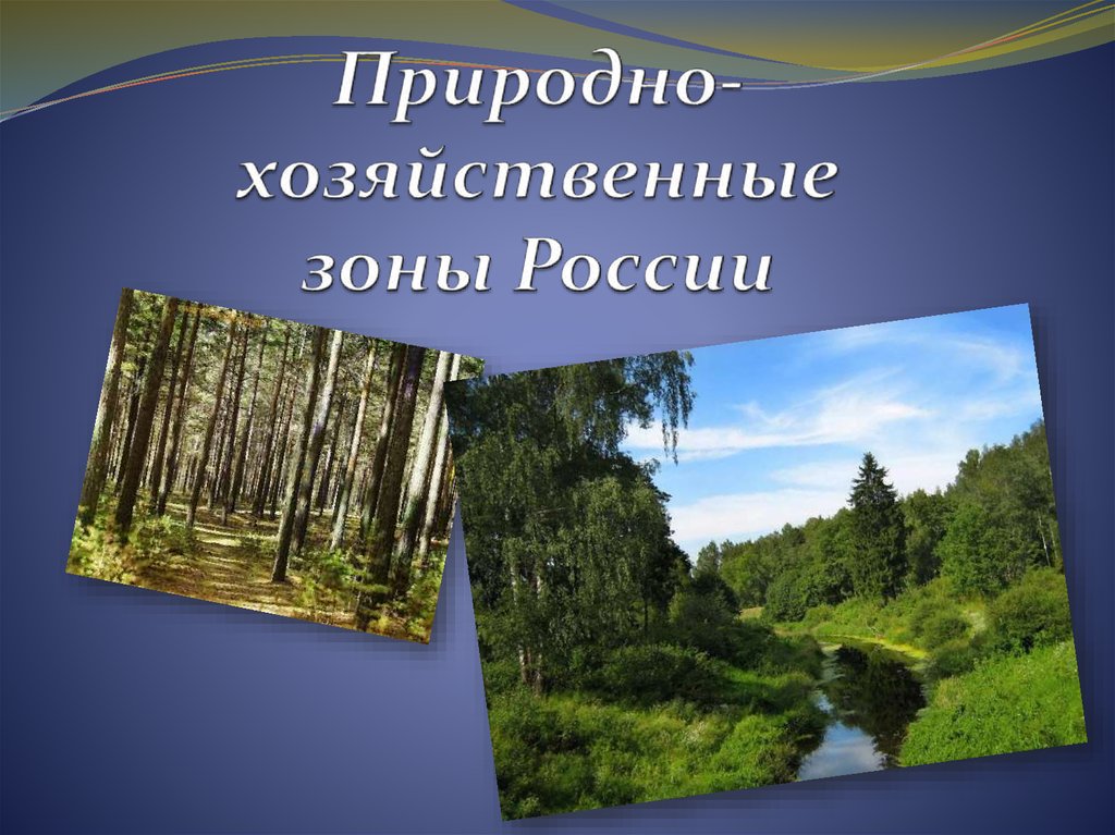 Презентация по географии 8 класс. Природно хозяйственные зоны России. Природа хозяйственные зоны России. Природно-хозяйственные горы России. Пророднохозчйственные зоны России.