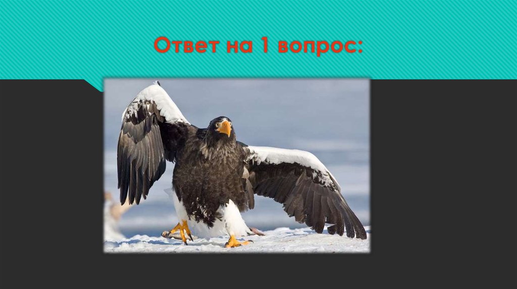 Ответ на 1 вопрос:
