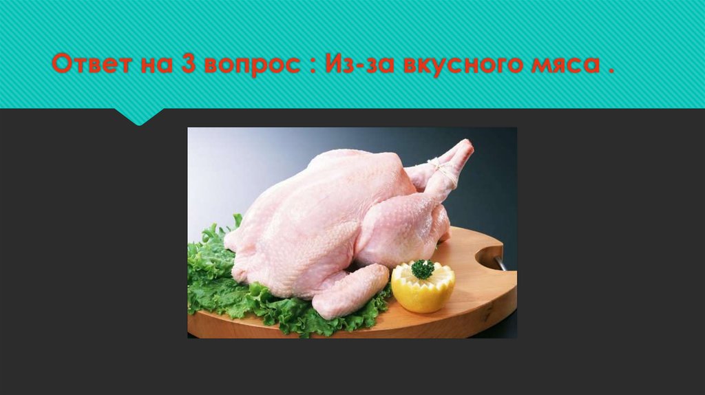Ответ на 3 вопрос : Из-за вкусного мяса .