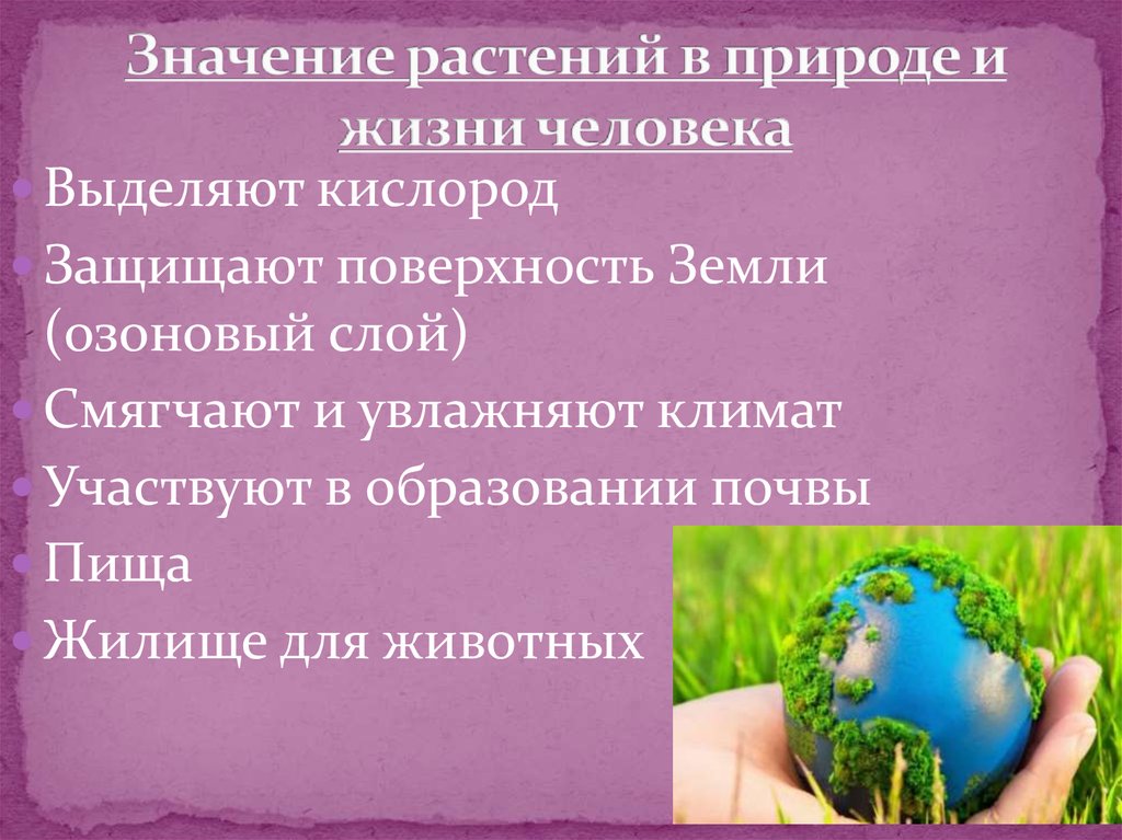 Значения растений в природе и жизни человека