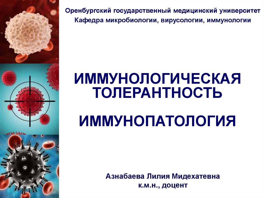 Детская иммунология в москве. Иммунологическая толерантность. Иммунологическая толерантность иммунология. Феномен иммунологической толерантности. Механизмы иммунологической толерантности.