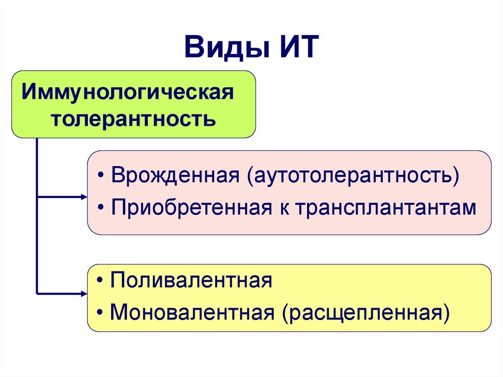 Иммунологическая толерантность. Виды иммунной толерантности. Иммунологическая память и иммунологическая толерантность. Иммунологическая толерантность виды и механизмы формирования. Классификация механизмов иммунологической толерантности.