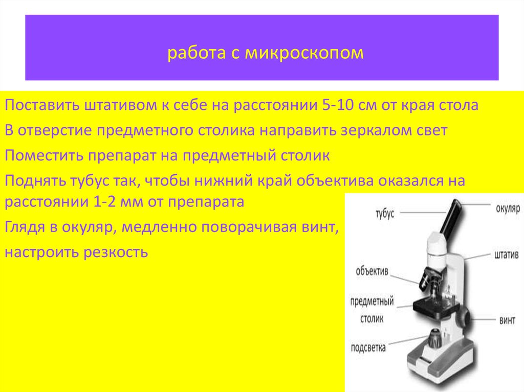 Функции микроскопа