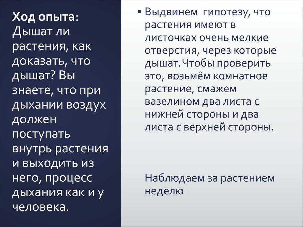 Может ли растение дышать - презентация онлайн