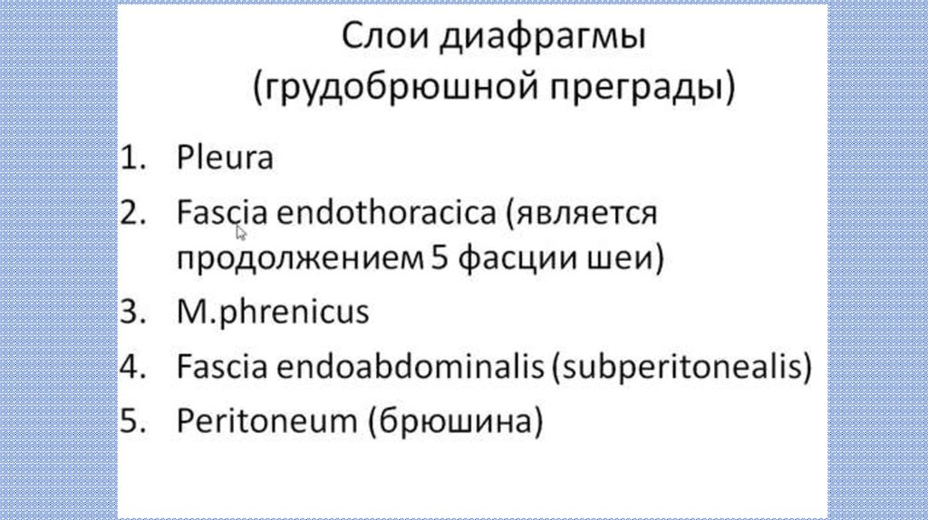 5 диафрагм. Слои диафрагмы. Соматическая дисфункция грудобрюшной диафрагмы. 5 Слоев диафрагмы. Структуры грудобрюшной преграды.