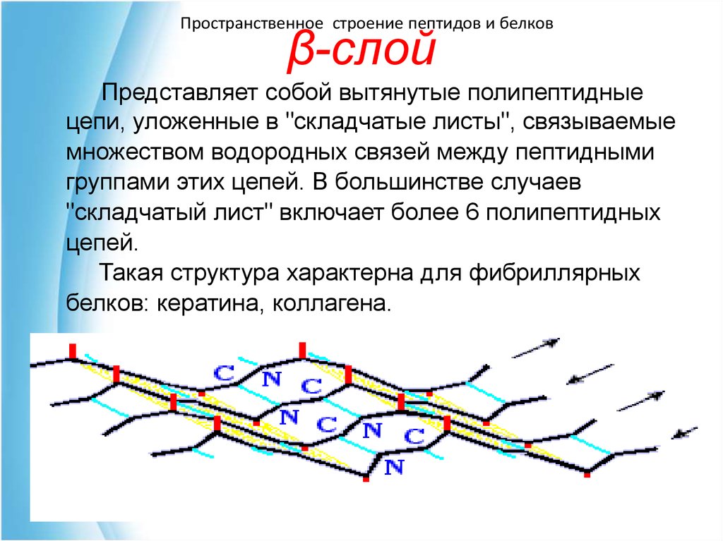 B структура