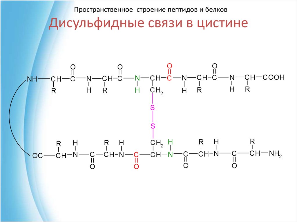 Дисульфидная связь в молекулах