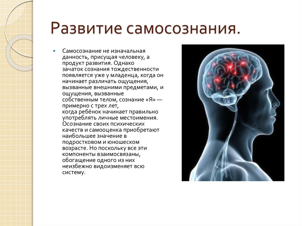 Проект на тему сознание и самосознание человека