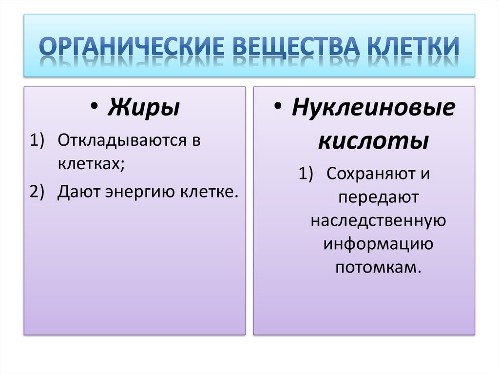 Химический состав органических и неорганических веществ. Органические вещества клетки 5 класс биология. Таблица по биологии 5 класс органические вещества клетки. Роль органических веществ в клетке. Органические вещества клетки 5 класс.