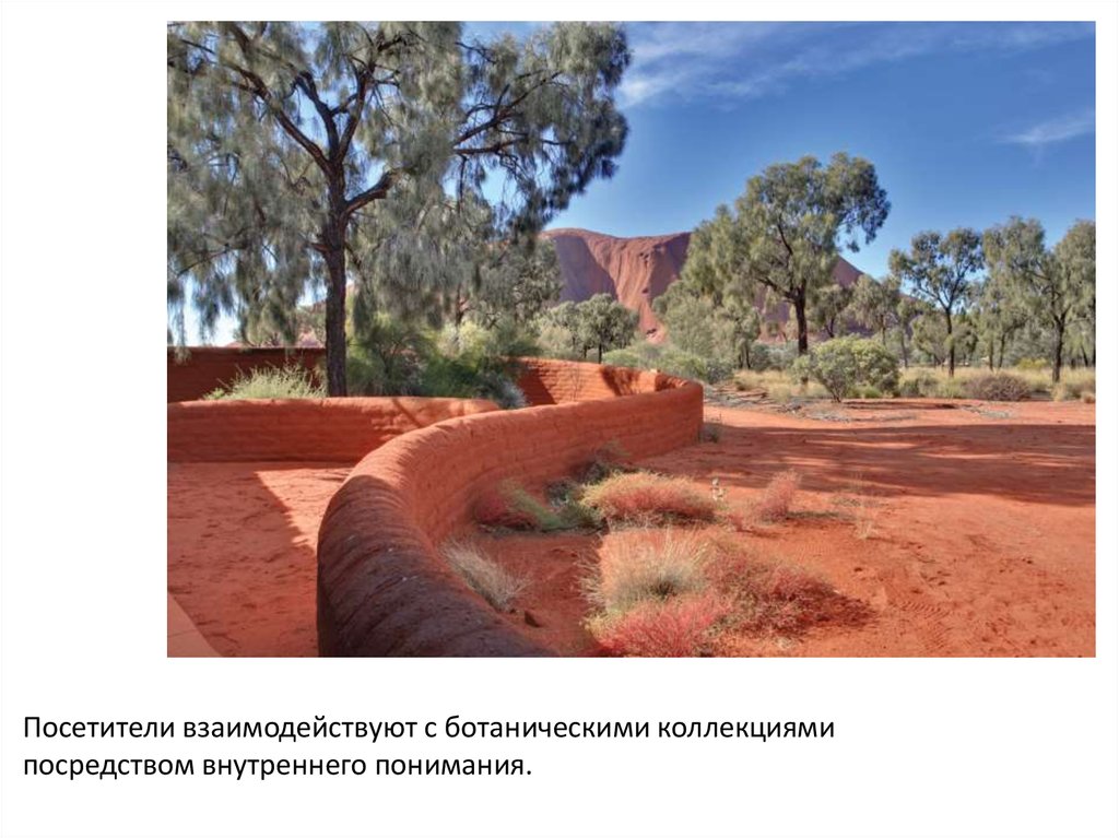 Посетители взаимодействуют с ботаническими коллекциями посредством внутреннего понимания. 