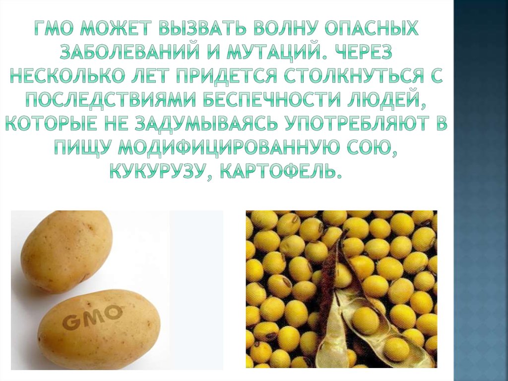 Гмо за и против. ГМО. Генномодифицированные растения. Генетически модифицированные продукты.