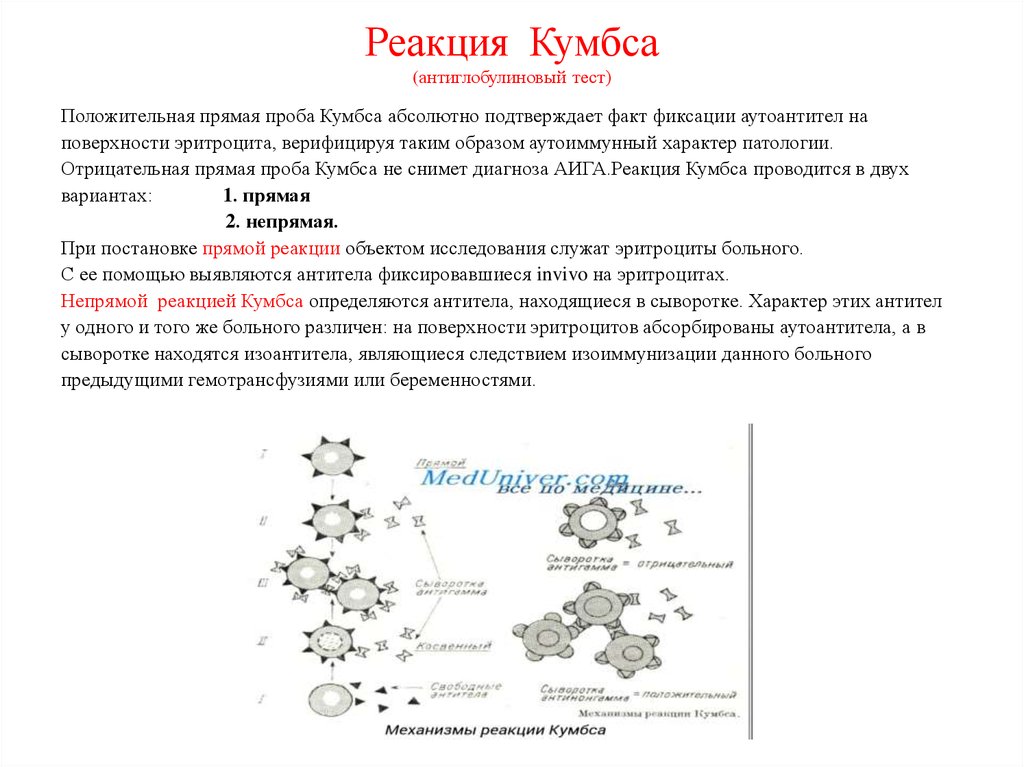 Проба кумбса что это. Реакция Кумбса непрямая что это. Реакция антиген-антитело. Реакция Кумбса. Антиглобулиновая сыворотка для реакции Кумбса. Реакция Кумбса для выявления неполных антител.