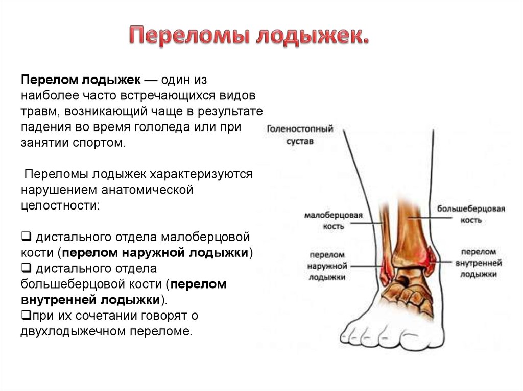 Повреждение органов брюшной полости - презентация онлайн