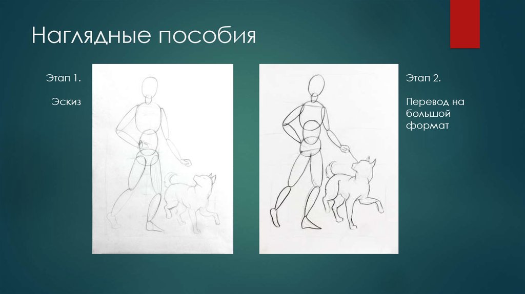 Наглядные пособия