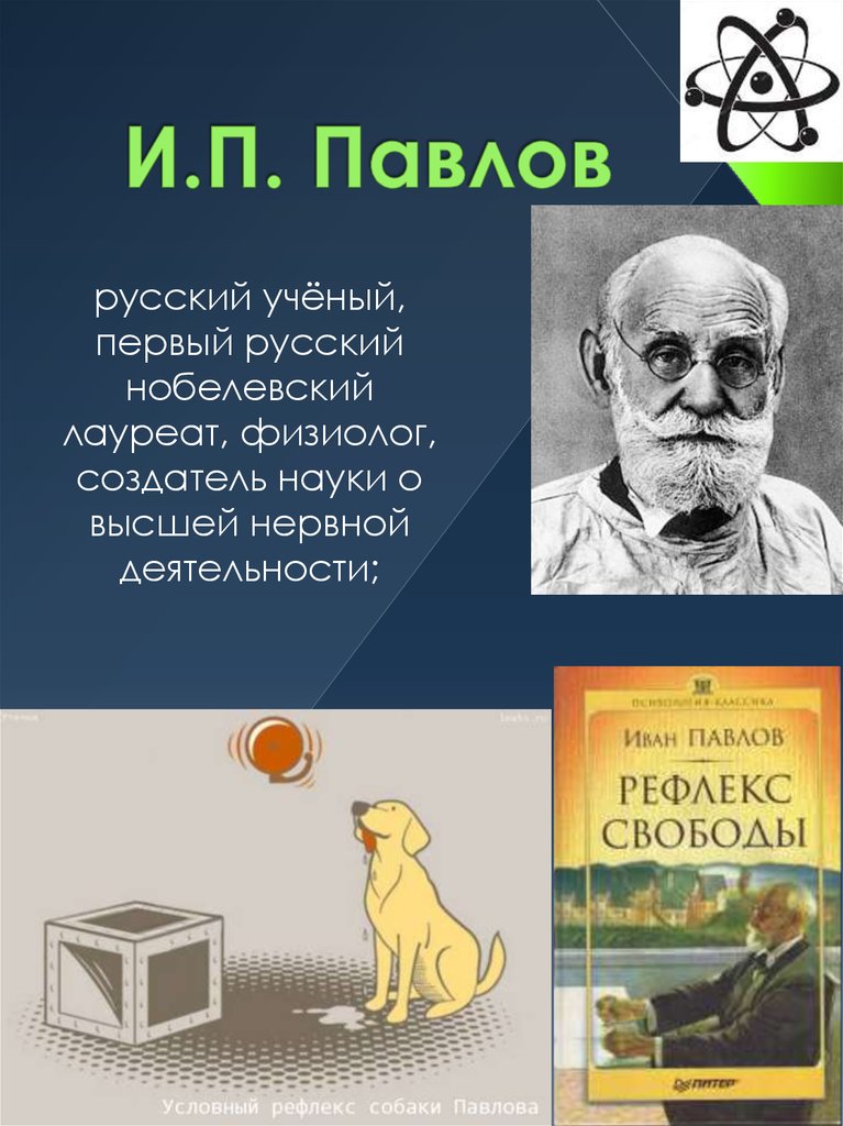 Академик павлов презентация