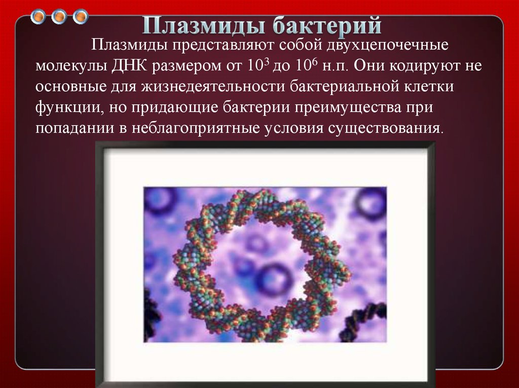 Вирус бактерия или плазмида несущая встроенный фрагмент. Функции плазмид микробиология. Плазмиды классификация микробиология. Плазмидная ДНК бактерий. Плазмиды бактерий.