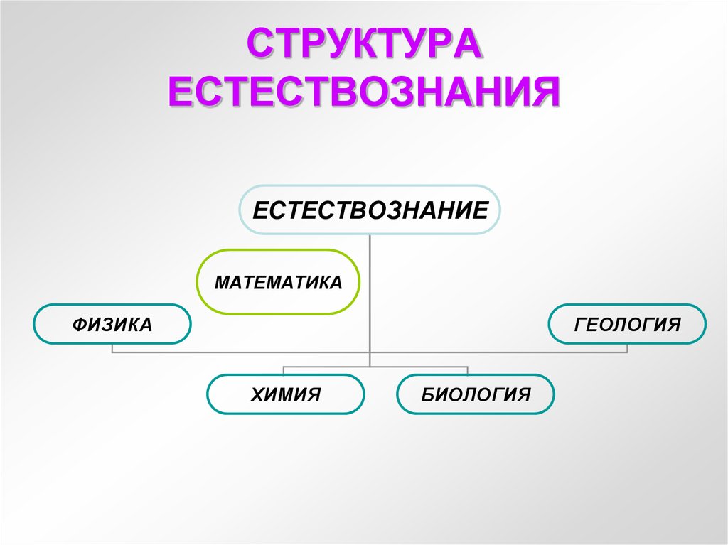 Предмет и структура естествознания презентация