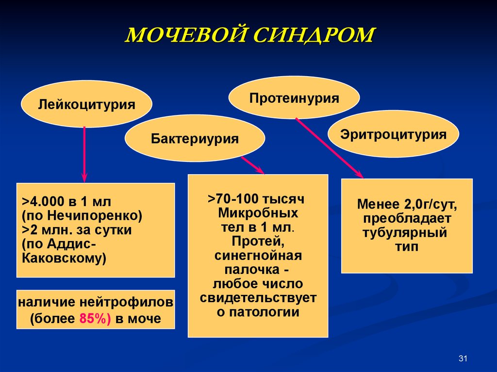 Протеинурия лейкоцитурия цилиндрурия. Изолированный мочевой синдром патогенез. Мочевой синдром план обследования. Мочевой синдром диагностические критерии.. Мочевой синдром пропедевтика.