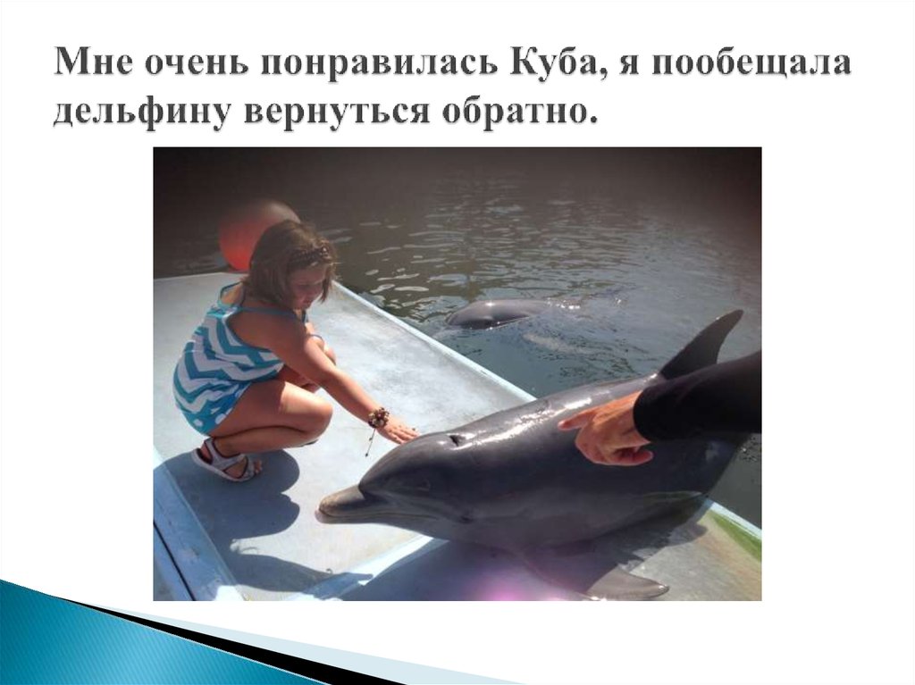 Мне очень понравилась Куба, я пообещала дельфину вернуться обратно.