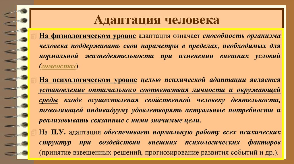 Психологическая адаптации человека. Адаптация человека. Психическая адаптация человека. Уровни адаптации человека. Уровни психической адаптации.