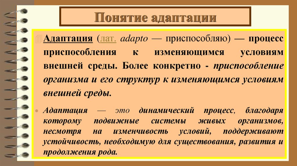 Адаптировать это. Понятие адаптации. Адаптация термин. Понятие об адаптации человека. Понятие и виды адаптации.