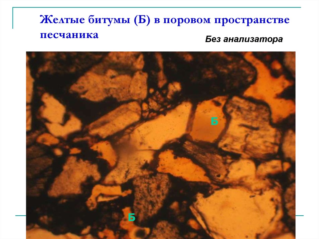 Желтые битумы (Б) в поровом пространстве песчаника