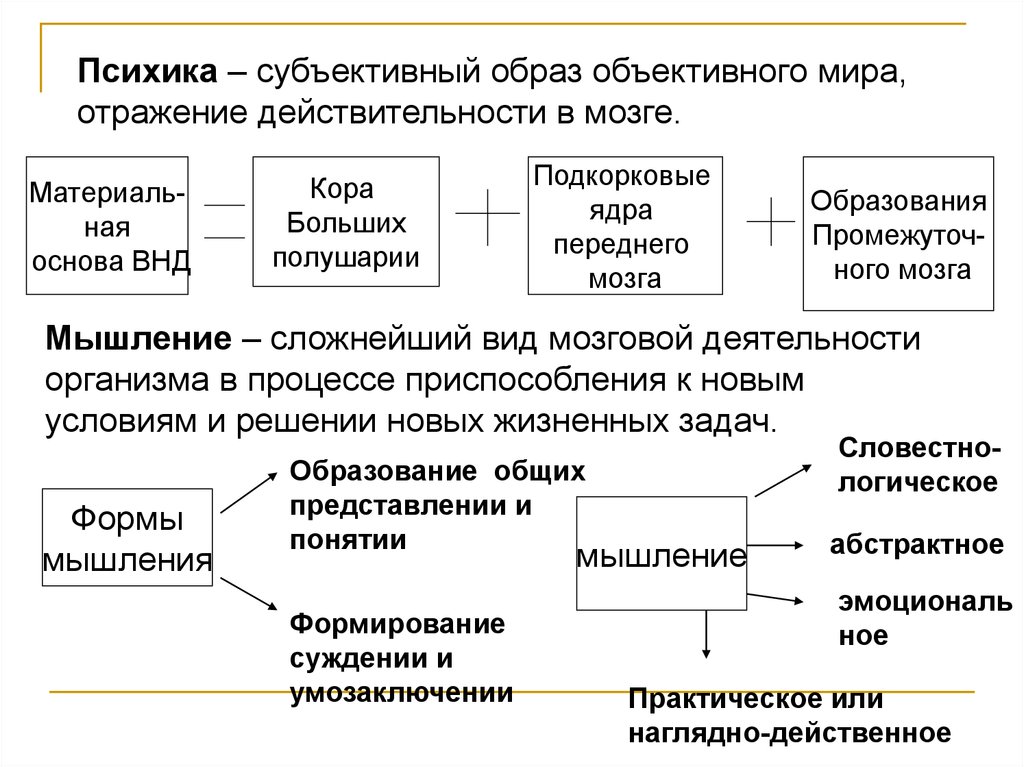 Основа нервной деятельности человека и животного