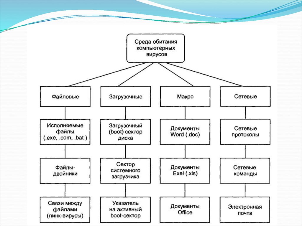 Компьютерные вирусы классификация. Схема классификации вирусов Информатика. Создайте структурную схему существующих на сегодняшний день вирусов. Типы вирусов схема. Классификация компьютерных вирусов бывает.