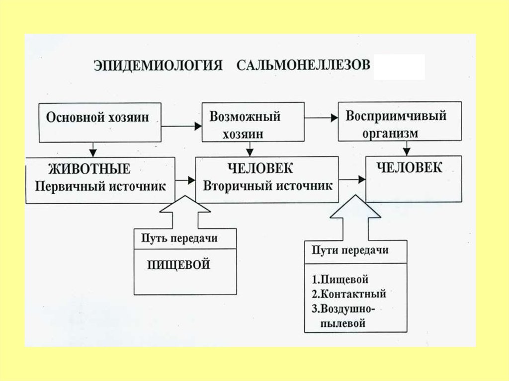 Что входит в систему первичных мер. К первичной группе относятся средние.