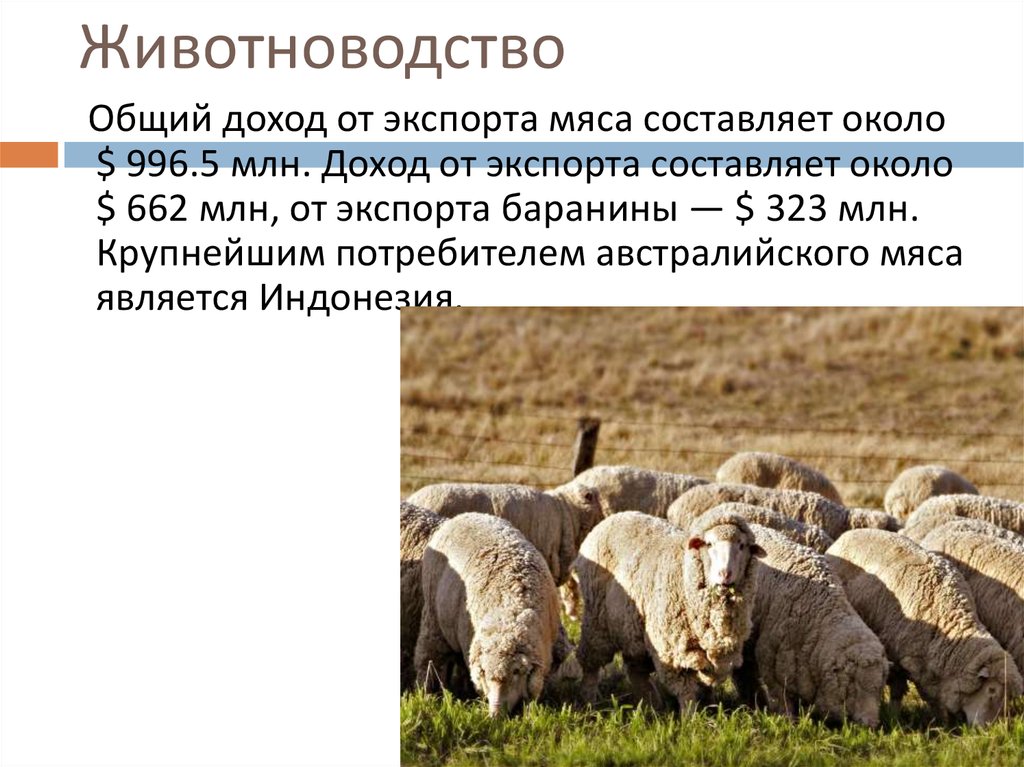 Каков современный рисунок размещения населения и хозяйства австралии какие факторы определили