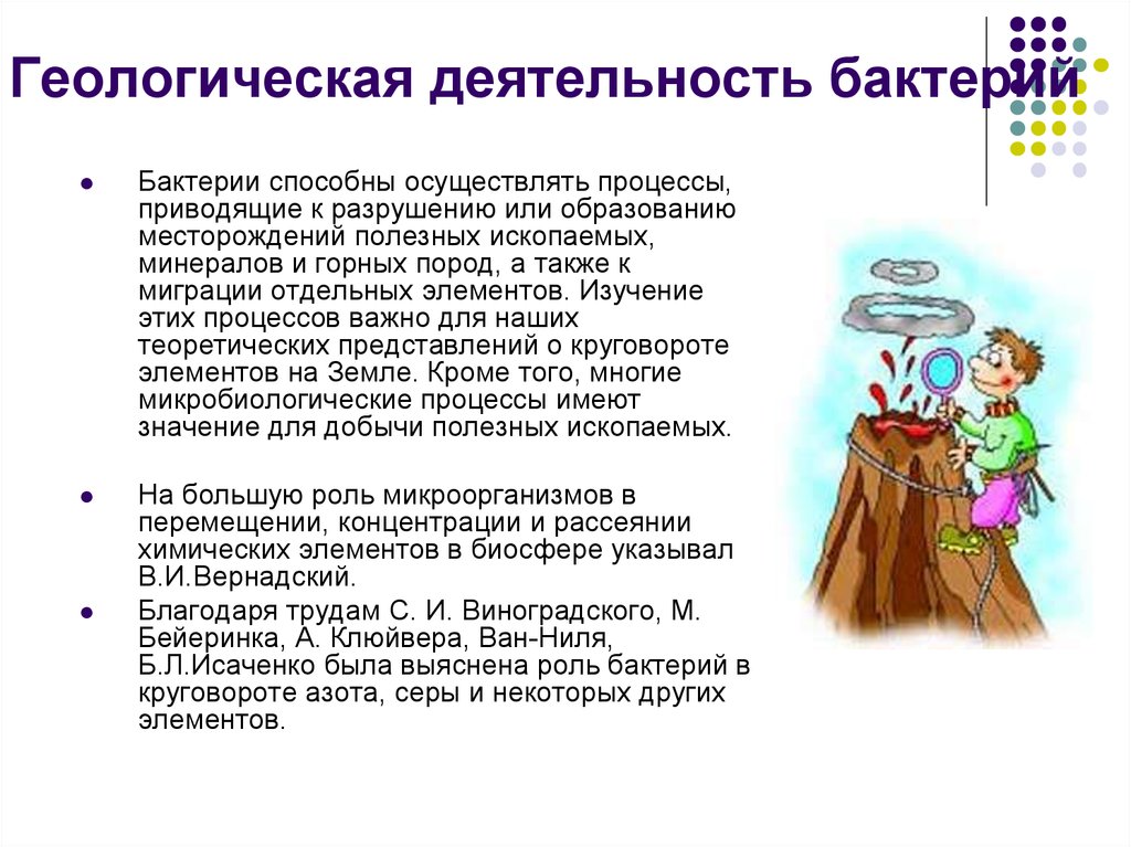 Активность бактерии. Геологическая деятельность микроорганизмов. Роль бактерий в образовании полезных ископаемых. Геологическая деятельность бактерий. В чем заключается Геологическая деятельность бактерий.