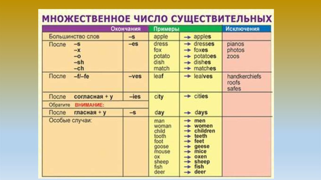 Шпроты падежи. Существительные во множественном числе в английском языке. Множественное число существительных в английском языке таблица. Множественное число существительных в английском правило. Множественное число имен существительных в англ яз.