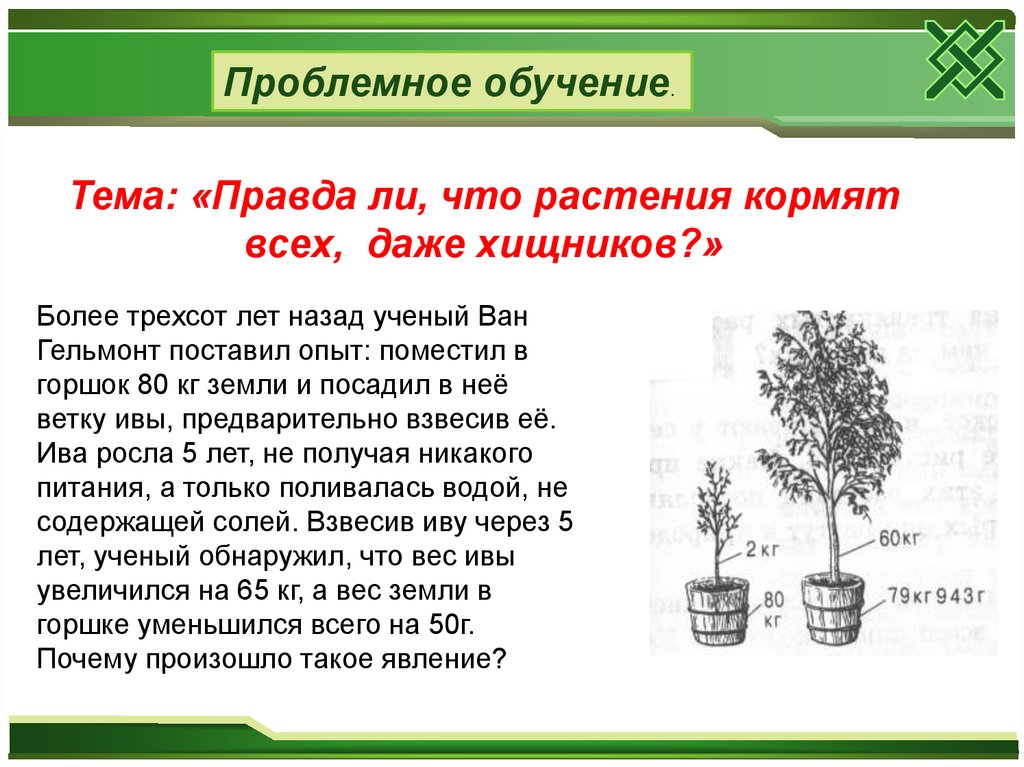 Подумай правда ли что растения кормят всех даже хищников нарисуй схему