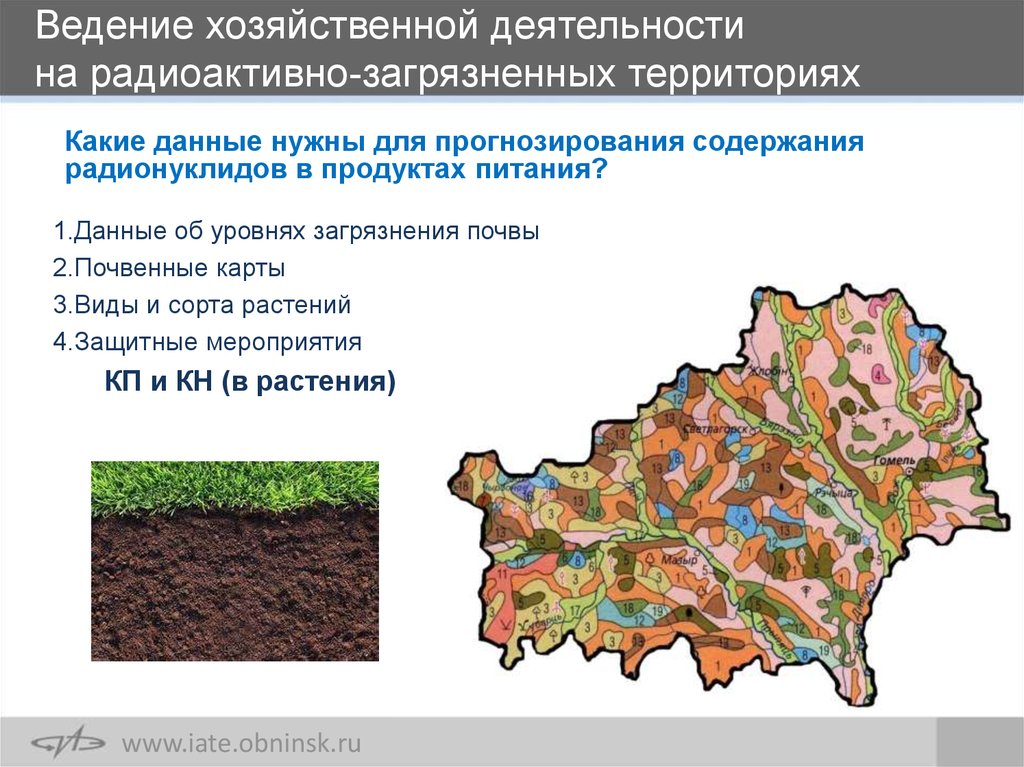 Почвенная карта дает информацию