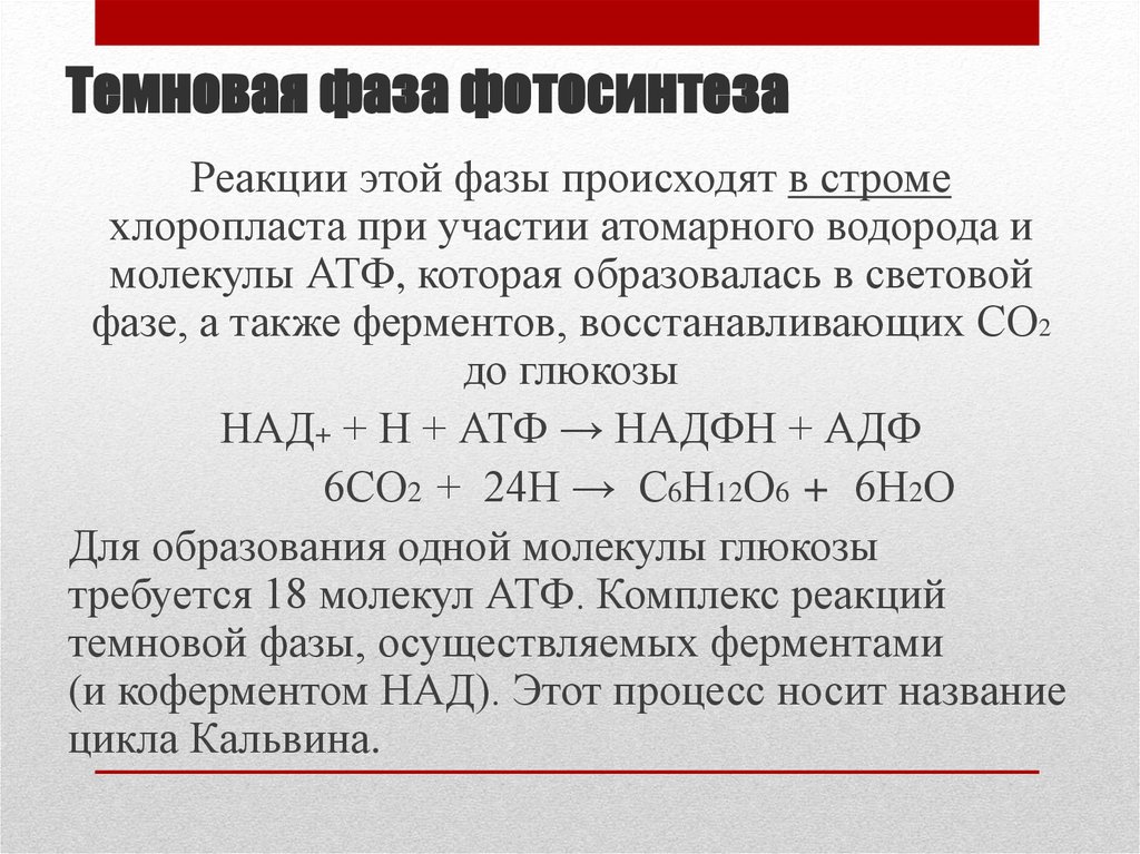 Восстановление co. Реакции Темновой фазы. Реакции Темновой фазы фотосинтеза. Уравнение Темновой фазы фотосинтеза. Суммарное уравнение Темновой фазы фотосинтеза.