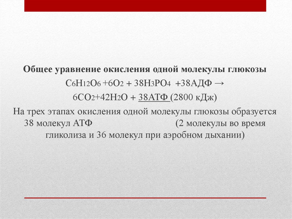 Окисление 1 молекулы глюкозы. Формула окисления 1 молекулы Глюкозы. Уравнение окисления Глюкозы. 38 Молекул АТФ.