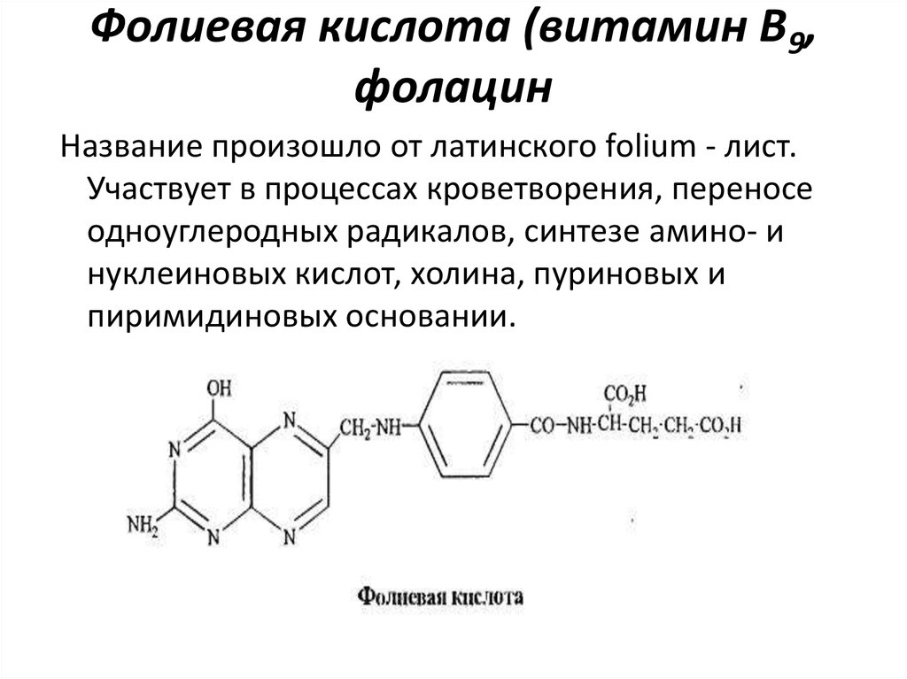 Фолиевая кислота (витамин В9, фолацин