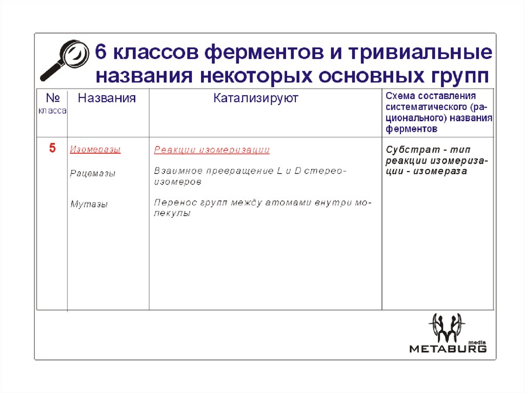 Классы ферментов. Классификация ферментов и их тривиальные названия. Класс ферментов. Тривиальные названия ферментов. 6 Классов ферментов.