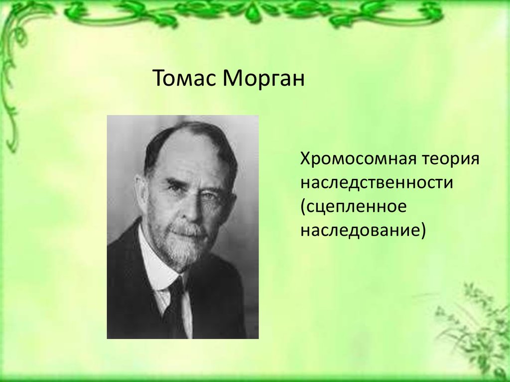 Ученые внесшие вклад в развитие биологии. Хромосомная теория Томаса Моргана.