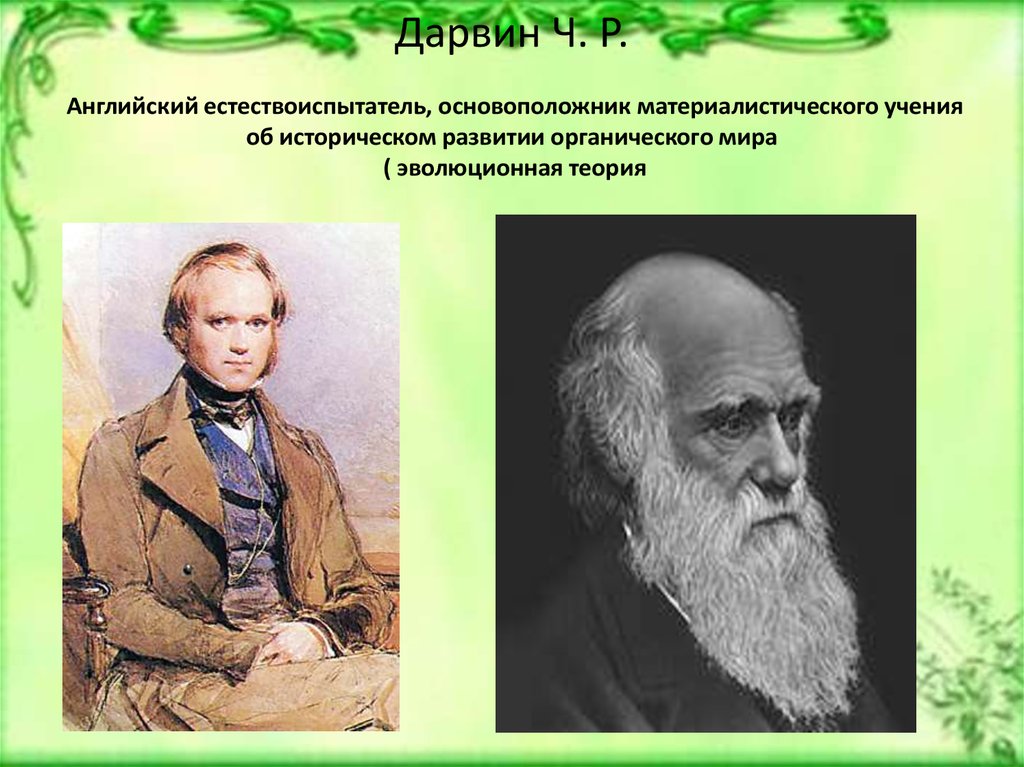 Ч дарвин основоположник эволюционного учения. Открытия Дарвина в биологии. Английский естествоиспытатель.