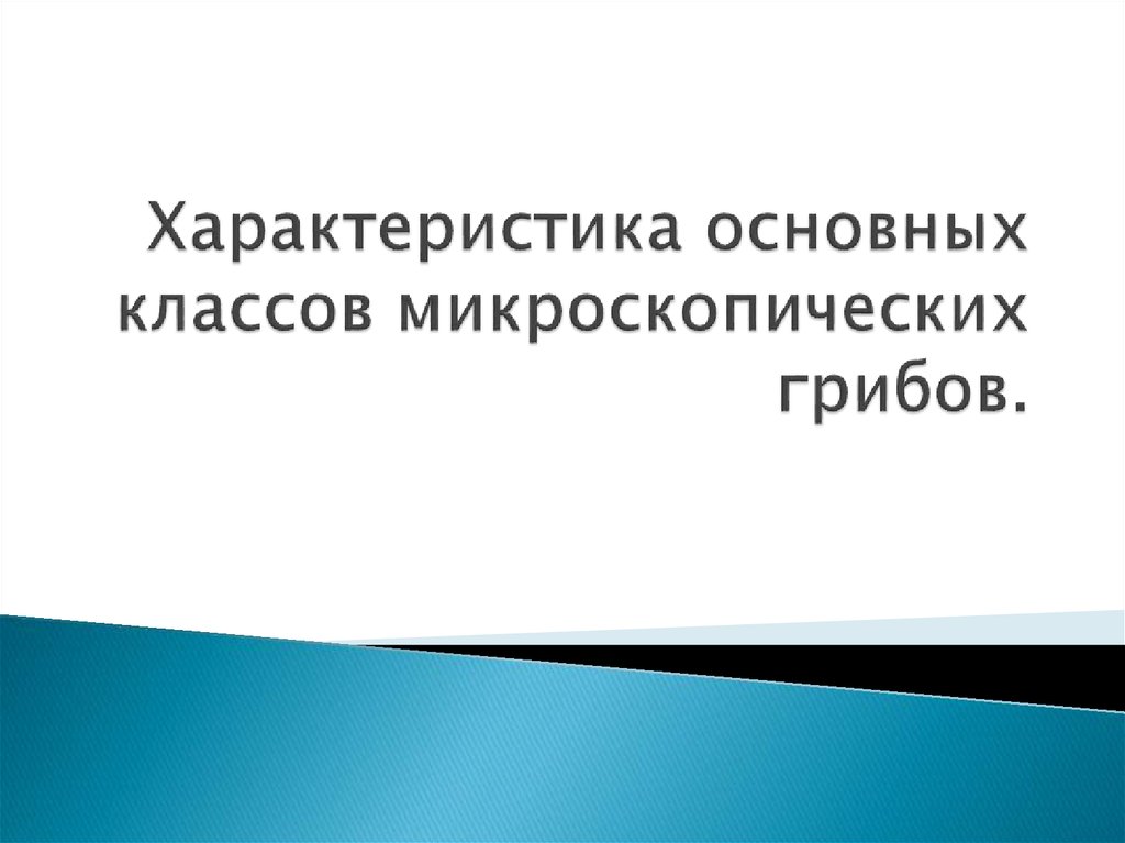 Микроскопические грибы презентация 2 класс