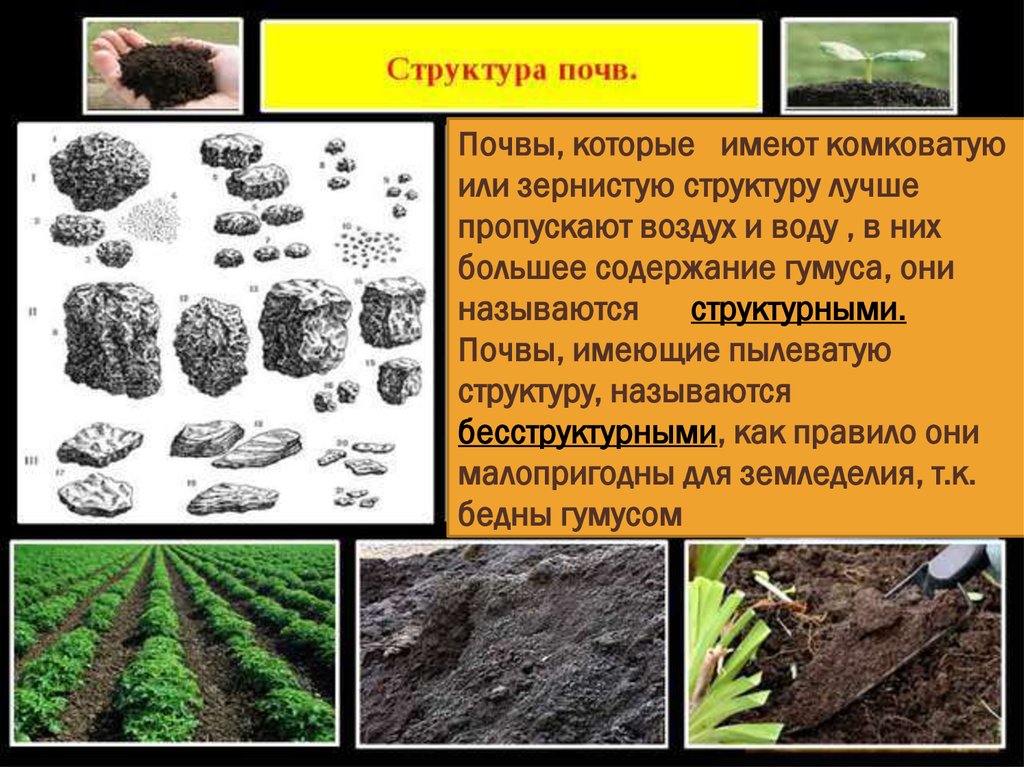 Различие почв бесструктурные. Комковато-зернистая структура почвы. Состав и структура почвы.