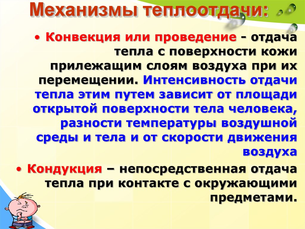 В зависимости от проведения. Механизмы теплоотдачи. Механизмы теплоотдачи физиология. Механизм теплообмена. Основные механизмы теплоотдачи организма человека.