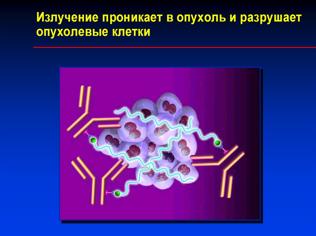 Противоопухолевые средства презентация